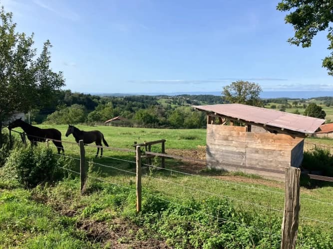 Ferme équestre