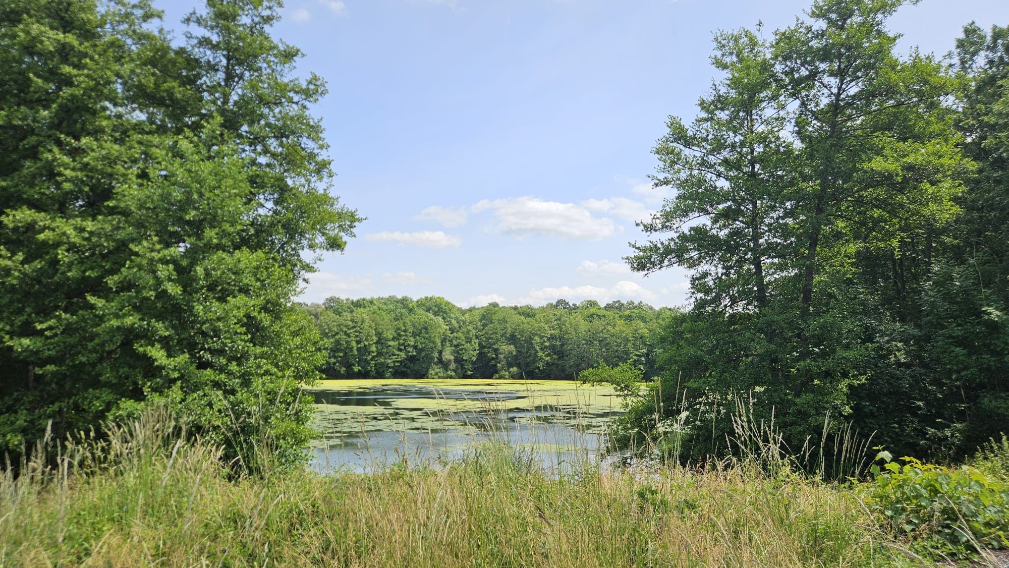 Centre équestre au coeur de la nature
