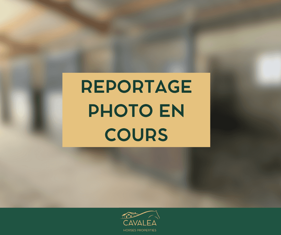 Proprietà equestre di carattere su 17 ha